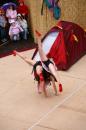 Les Polyamide Sisters 10 * 4368 x 2912 * (6.31MB)